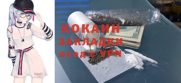 стаф Алексин