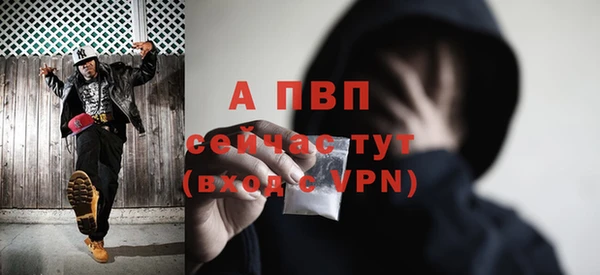 стаф Алексин