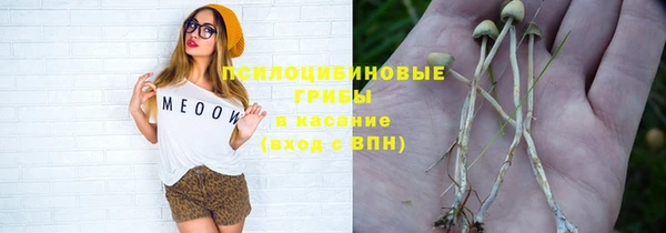 героин Алзамай