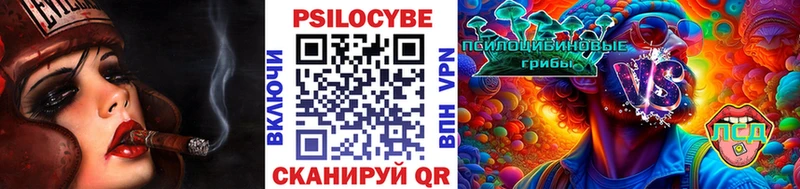 Галлюциногенные грибы Psilocybe  наркота  ОМГ ОМГ рабочий сайт  Спасск 