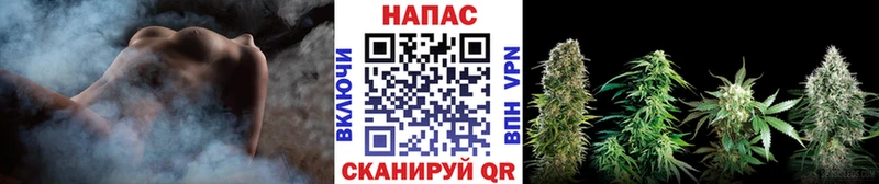 Конопля Amnesia  что такое   blacksprut как войти  Спасск 